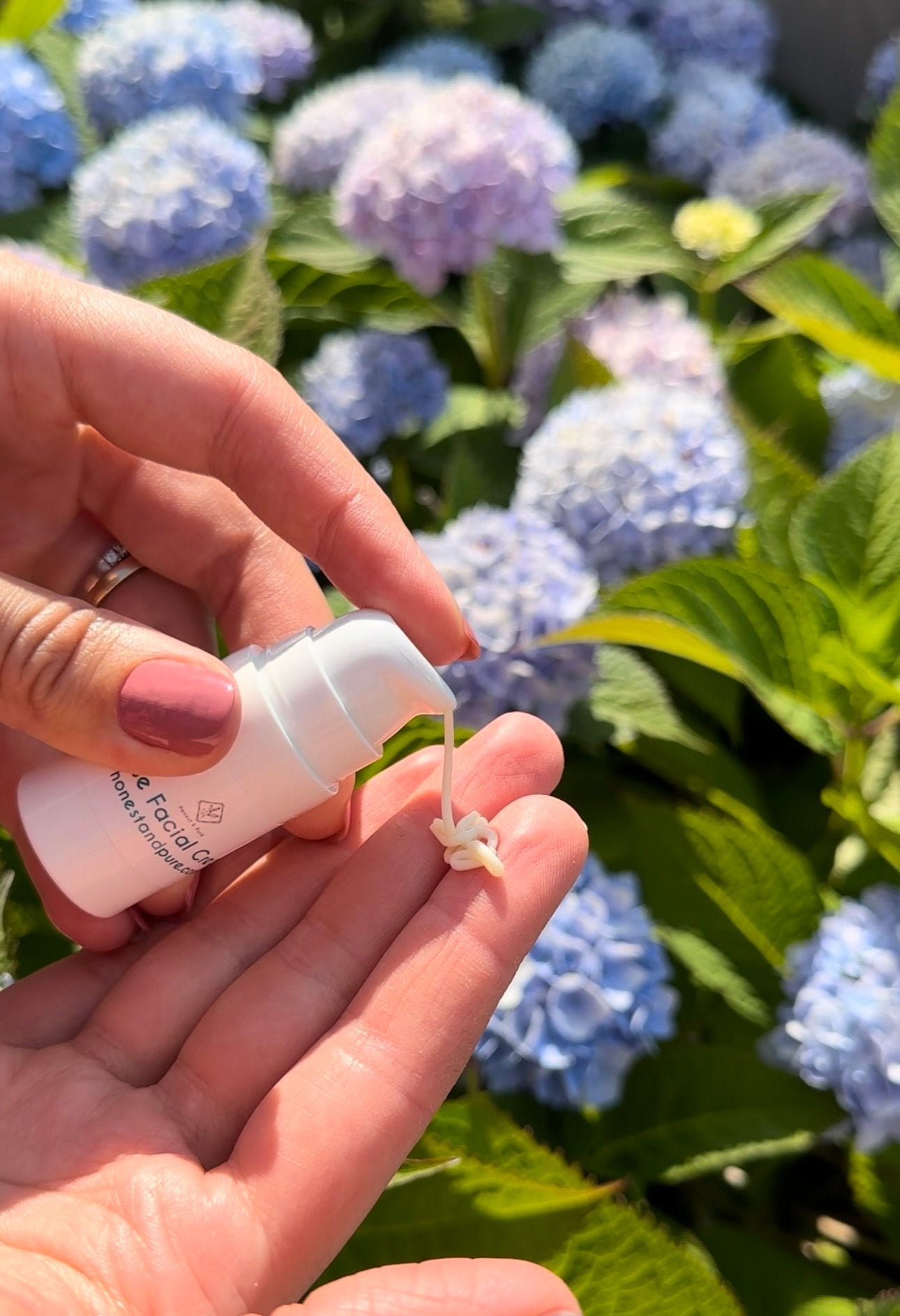 Rose Anti-Aging Face Cream and Moisturizer for Hydrated Skin Care